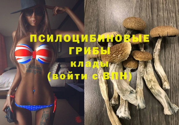 крисы Балабаново