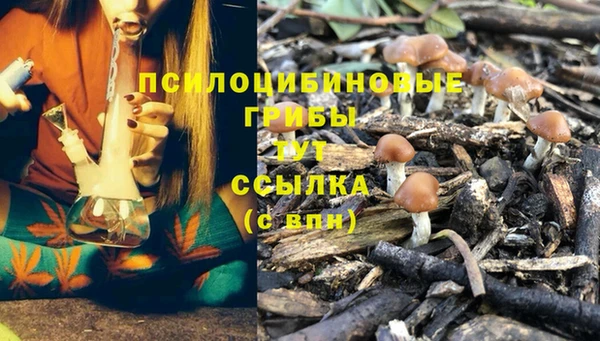 крисы Балабаново