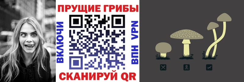 Галлюциногенные грибы GOLDEN TEACHER где продают Вуктыл